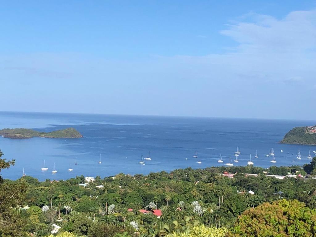 Calypso Bay Bouillante Exterior foto